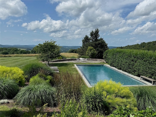 310 Carpenter Hill Rd, Pine Plains, NY 12567 - photo 4