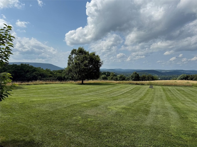 310 Carpenter Hill Rd, Pine Plains, NY 12567 - photo 45