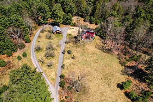 drone / aerial view
