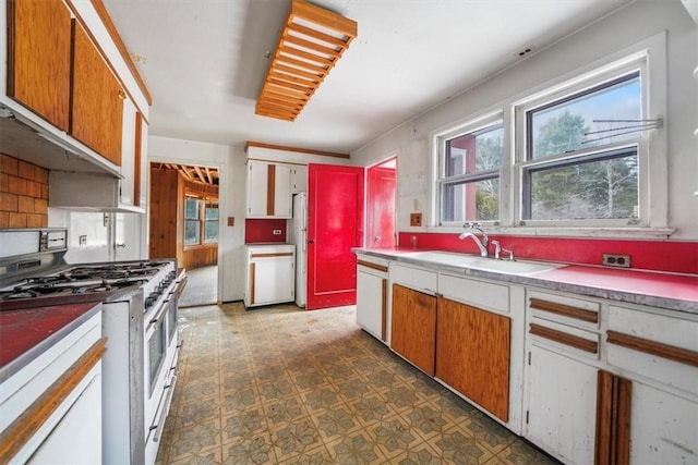 kitchen with a healthy amount of sunlight, dishwasher, range with gas stovetop, and a sink