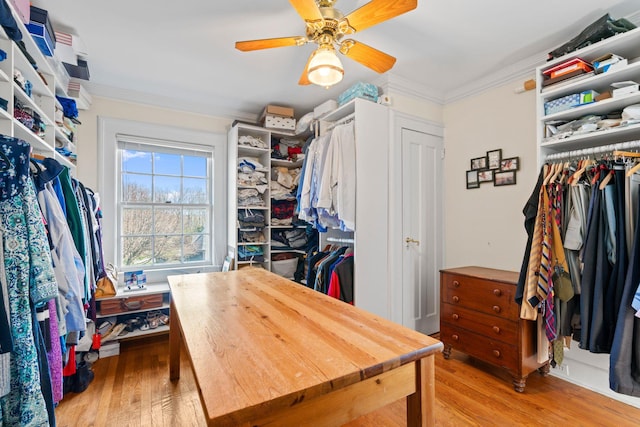 3 Wincoma Dr, Huntington Bay, NY 11743 - spacious closet with a ceiling fan and light wood-type flooring