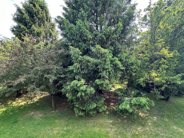 35 Bailey Ct Unit 35, Middle Island, NY 11953 - view of local wilderness