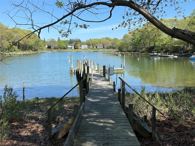 dock with a water view and a view of trees