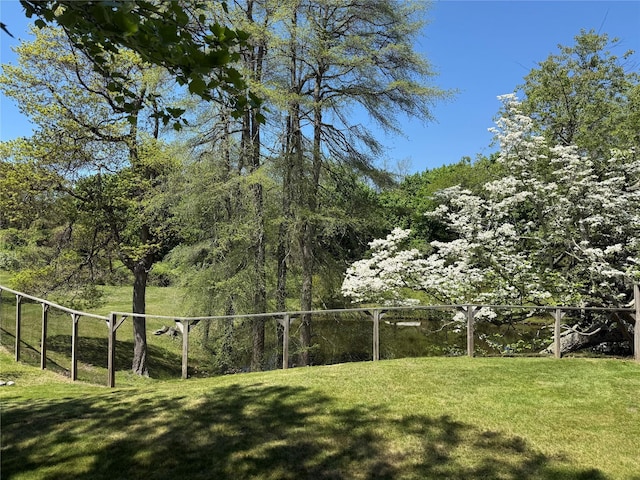 view of green lawn