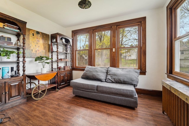 12 Sunset View Dr, West Nyack, NY 10994 - living area featuring radiator heating unit, baseboards, dark wood-style floors, and plenty of natural light