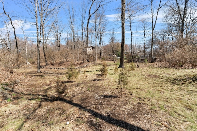 21 Glengary Rd, Croton-On-Hudson, NY 10520 - view of nature