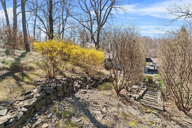 21 Glengary Rd, Croton-On-Hudson, NY 10520 - view of yard