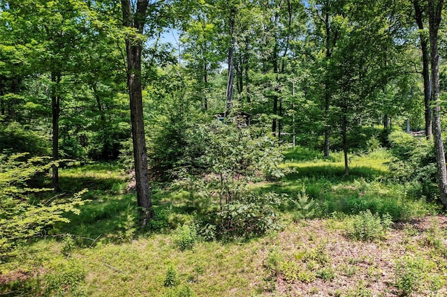 21 Glengary Rd, Croton-On-Hudson, NY 10520 - photo 29