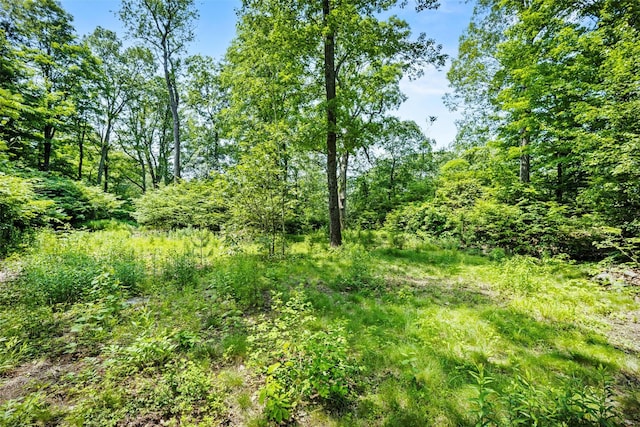 21 Glengary Rd, Croton-On-Hudson, NY 10520 - photo 30