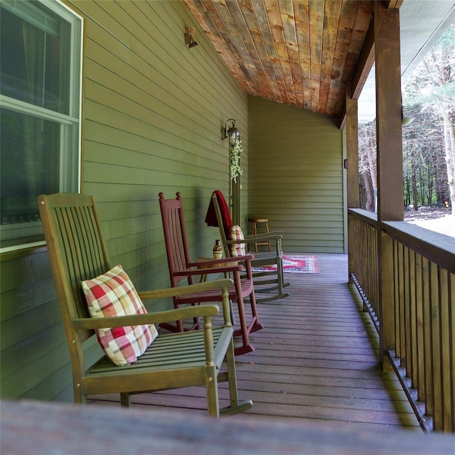 61 Mount View Estates Rd, Ashland, NY 12407 - view of porch