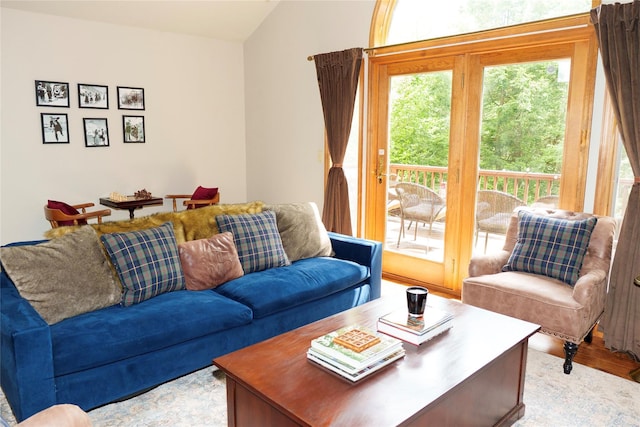 61 Mount View Estates Rd, Ashland, NY 12407 - living room with light wood-style floors and lofted ceiling
