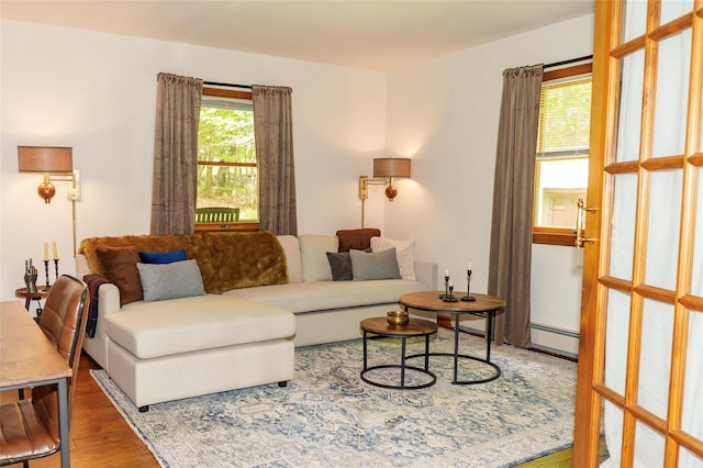 61 Mount View Estates Rd, Ashland, NY 12407 - living room featuring wood finished floors and a baseboard heating unit