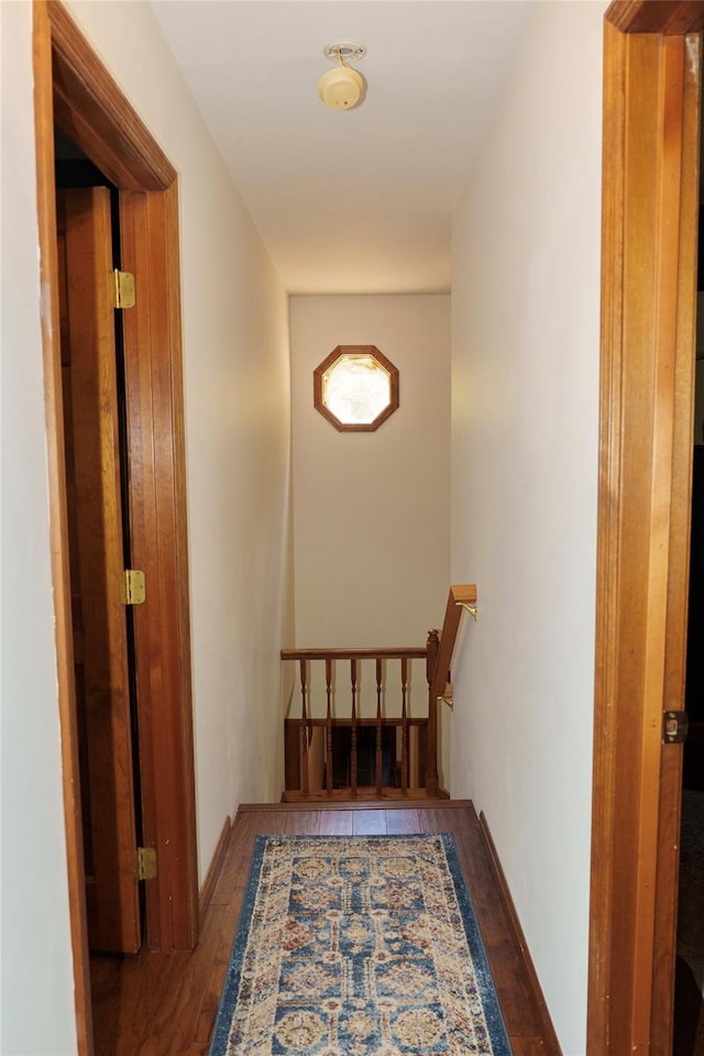 61 Mount View Estates Rd, Ashland, NY 12407 - hallway with wood finished floors