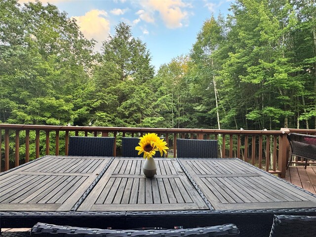 61 Mount View Estates Rd, Windham, NY 12407 - photo 26