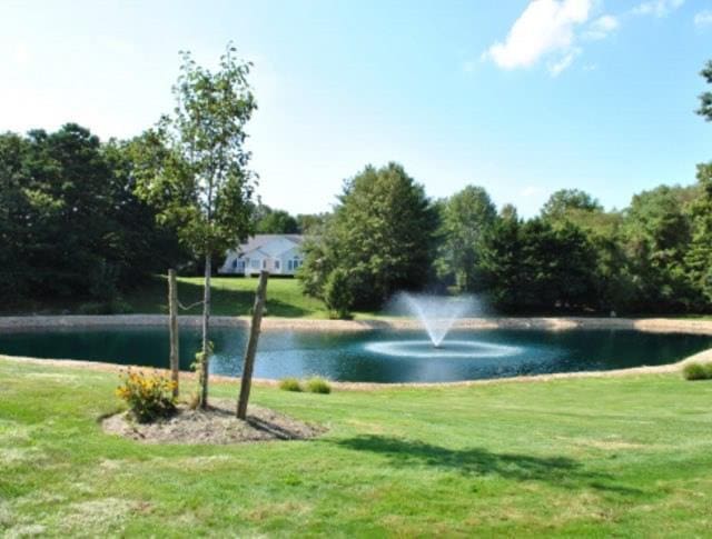 water view