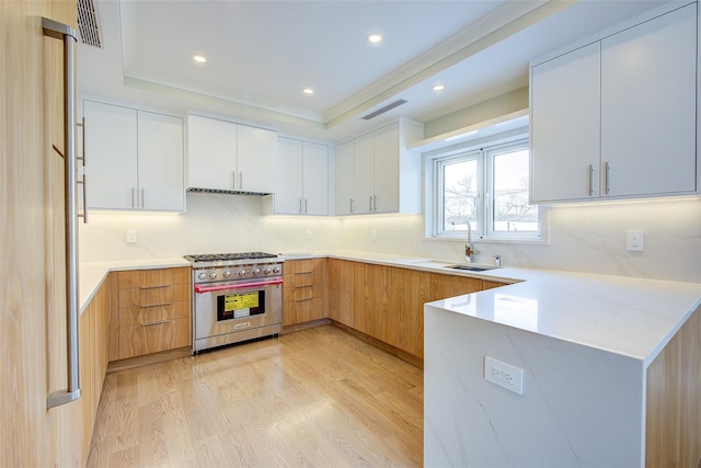 kitchen featuring high end range, a tray ceiling, light wood-type flooring, white cabinets, and a sink