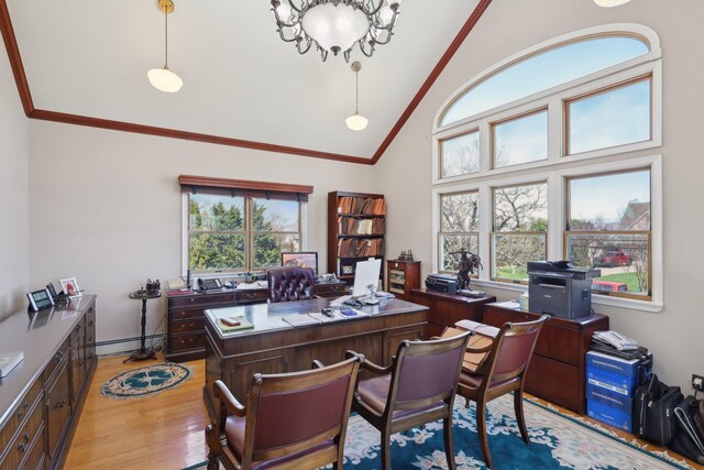 230 W Islip Rd, West Islip, NY 11795 - office featuring light wood-style floors, a baseboard radiator, crown molding, and high vaulted ceiling