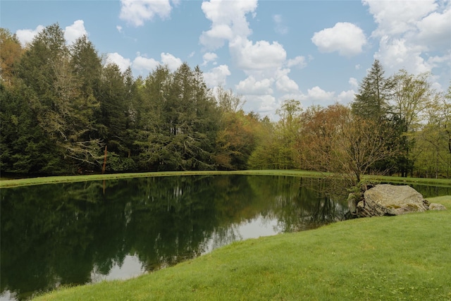 20 Aden Rd, Liberty, NY 12754 - photo 3