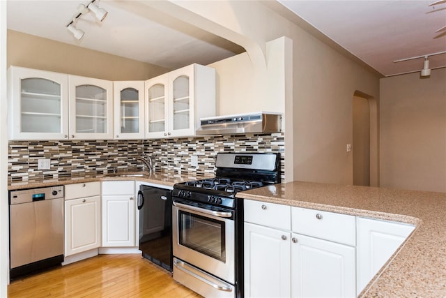 kitchen with decorative backsplash, stainless steel appliances, under cabinet range hood, a sink, and light wood-type flooring