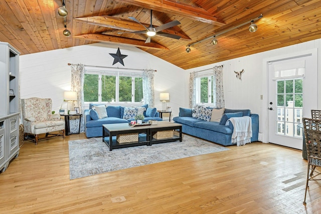 25 Macgregor Dr, Mahopac, NY 10541 - living area with track lighting, wooden ceiling, light wood-type flooring, and a ceiling fan
