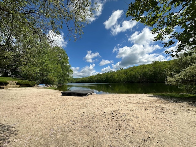 25 Macgregor Dr, Mahopac, NY 10541 - water view with a heavily wooded area and a floating dock