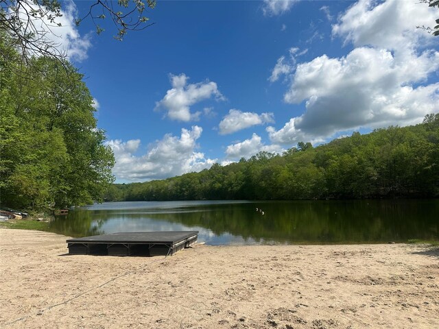 25 Macgregor Dr, Mahopac, NY 10541 - water view featuring a heavily wooded area