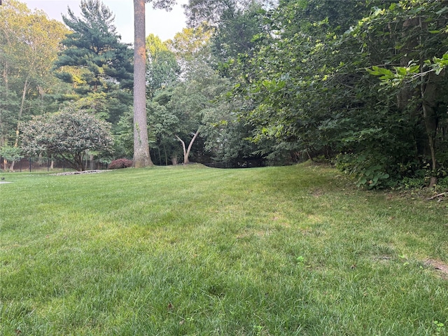 33 Bacon Rd, Saint James, NY 11780 - view of yard