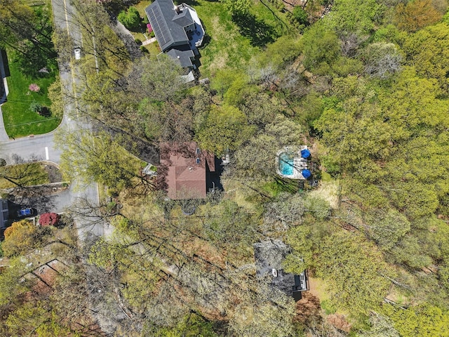 drone / aerial view