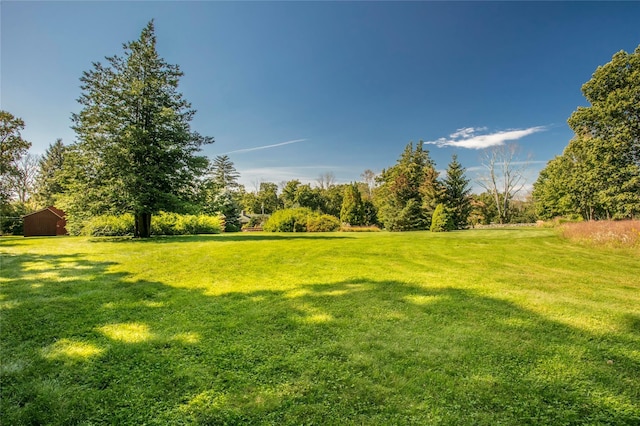 29 Oscaleta Rd, South Salem, NY 10590 - view of yard