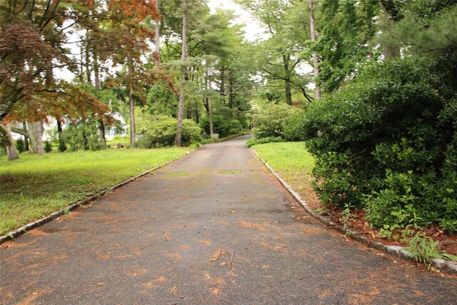 7 Locust Ln, Glen Head, NY 11545 - view of street featuring curbs