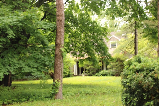 7 Locust Ln, Glen Head, NY 11545 - view of yard
