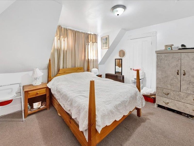 bedroom with carpet