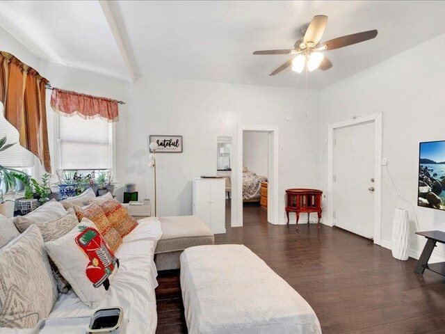 living area featuring a ceiling fan and dark wood-style floors