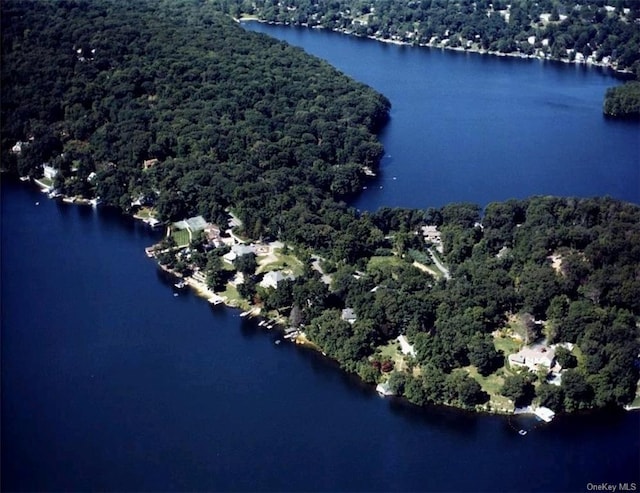drone / aerial view featuring a water view and a view of trees