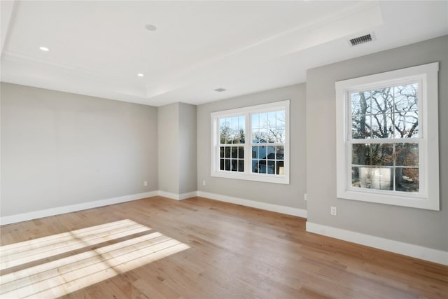 unfurnished room featuring a healthy amount of sunlight, light wood-style flooring, and a tray ceiling