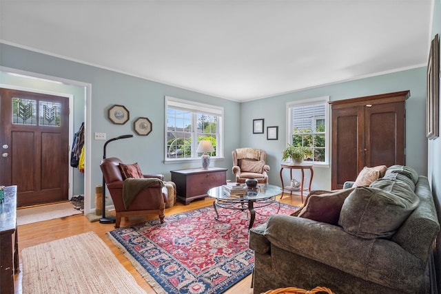 7 Wilson Blvd, Poughkeepsie, NY 12603 - living area featuring light wood-style floors and ornamental molding