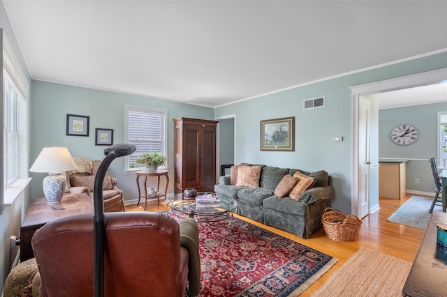 7 Wilson Blvd, Poughkeepsie, NY 12603 - living area with light wood-style flooring, plenty of natural light, baseboards, and ornamental molding