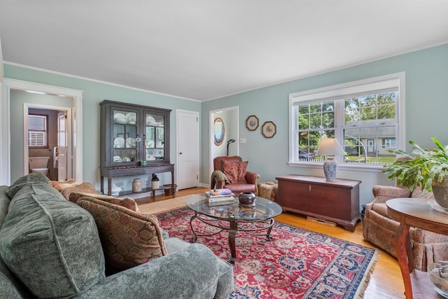 7 Wilson Blvd, Poughkeepsie, NY 12603 - living room featuring wood finished floors