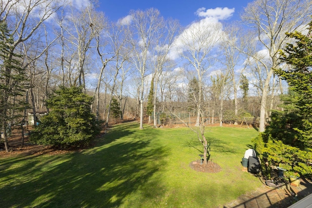 19 Stillwood Rd, Brookhaven, NY 11719 - view of yard