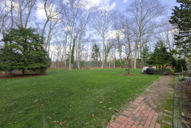 19 Stillwood Rd, Brookhaven, NY 11719 - view of yard
