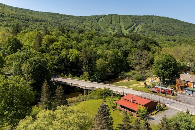 15 County Route 79, Windham, NY 12496 - photo 2