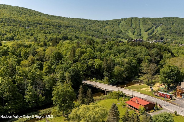 15 County Route 79, Windham, NY 12496 - photo 3