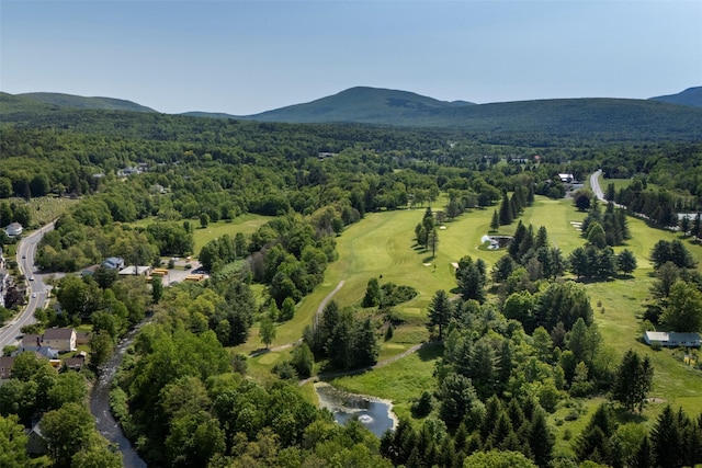 15 County Route 79, Windham, NY 12496 - photo 28