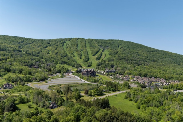 15 County Route 79, Windham, NY 12496 - photo 8