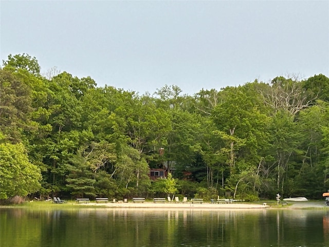 347 Lakeview Drive Rd, Call Listing Agent, NY 12743 - photo 3