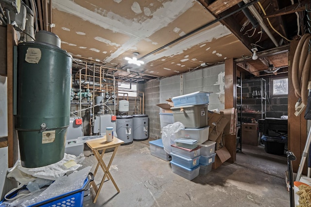 below grade area with concrete block wall and plenty of natural light