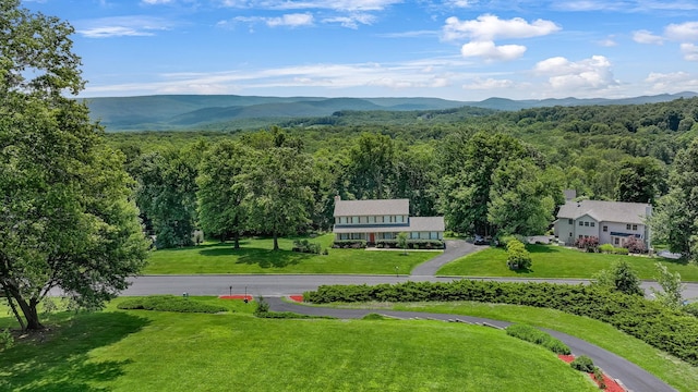34 Melissa Ln, Washingtonville, NY 10992 - view of mountain backdrop with a forest