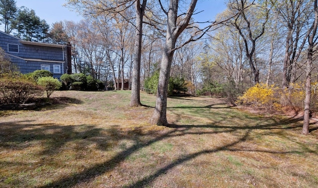 4 Penn Ct, Dix Hills, NY 11746 - view of green lawn