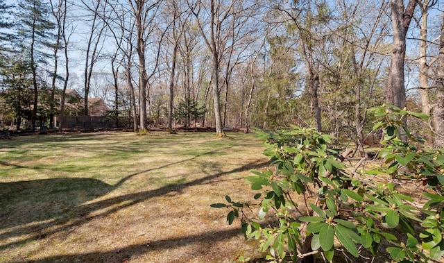 4 Penn Ct, Dix Hills, NY 11746 - view of yard