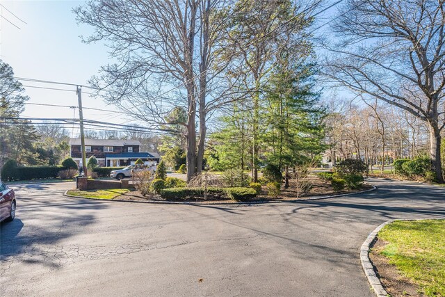 1170 Carlls Straight Path, Dix Hills, NY 11746 - view of street featuring curbs